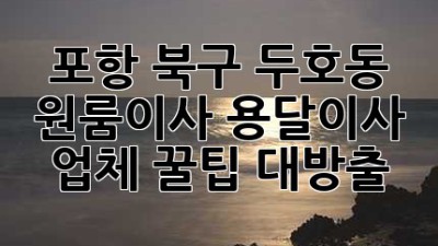 포항 북구 두호동 원룸이사, 용달이사 업체 꿀팁 대방출! 🚚💨
