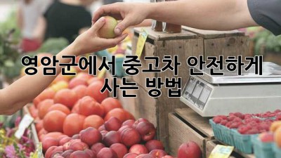 영암군에서 중고차 안전하게 사는 방법